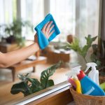 « Éco-entretien : Comment nettoyer son intérieur sans polluer ? »